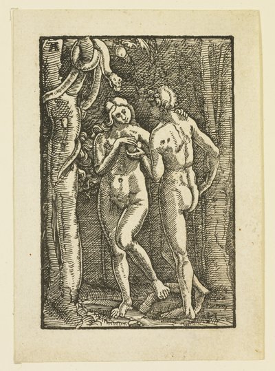 Adam et Ève mangeant le fruit défendu, c.1513 - Albrecht Altdorfer